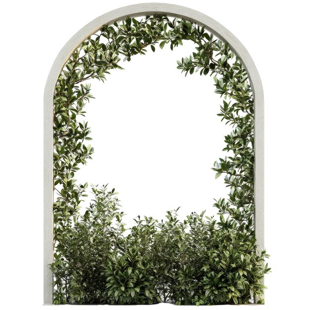 PSD a white archway with a green plant growing through it