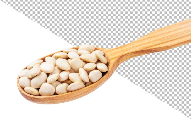 White beans isolated on white background