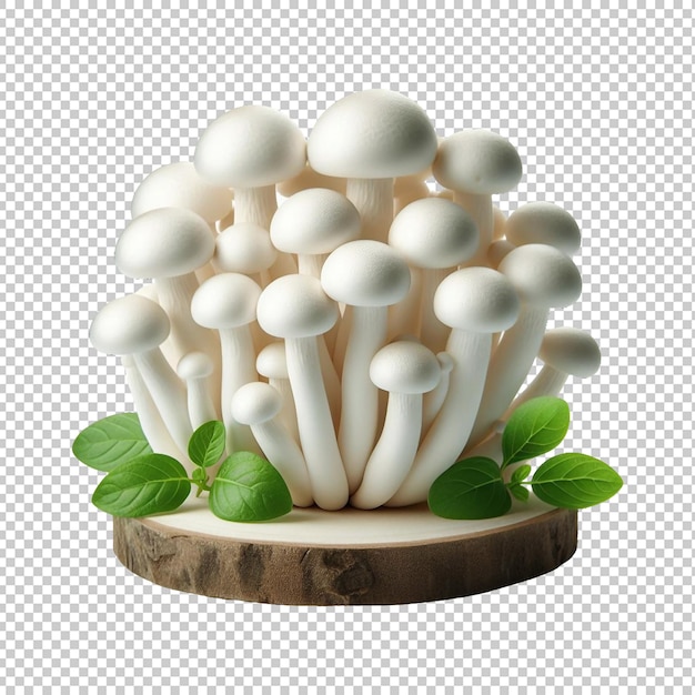 White beech mushrooms isolated on a transparent background Ai generative