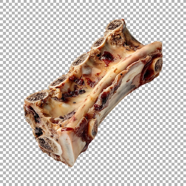 White Bone on Transparent Background Ai Generated