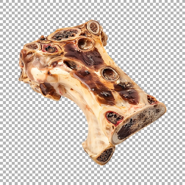 White Bone on Transparent Background Ai Generated