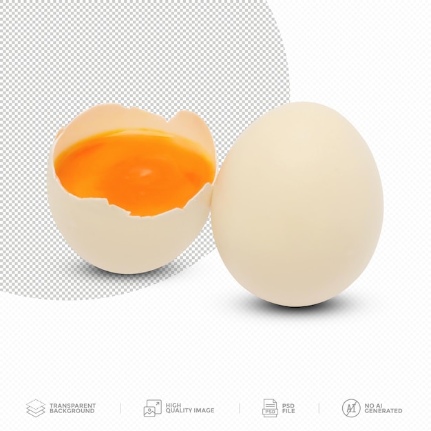 White Egg Cut Open on Transparent Background