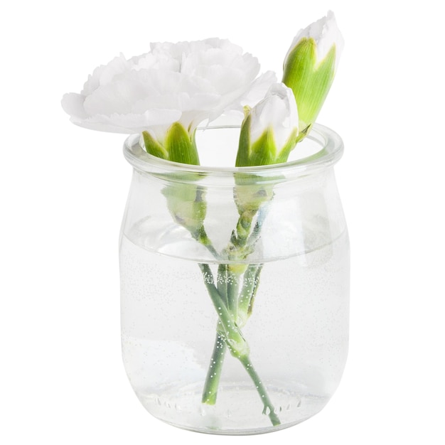 White flower in a miniature transparent jar or vase On a blank background