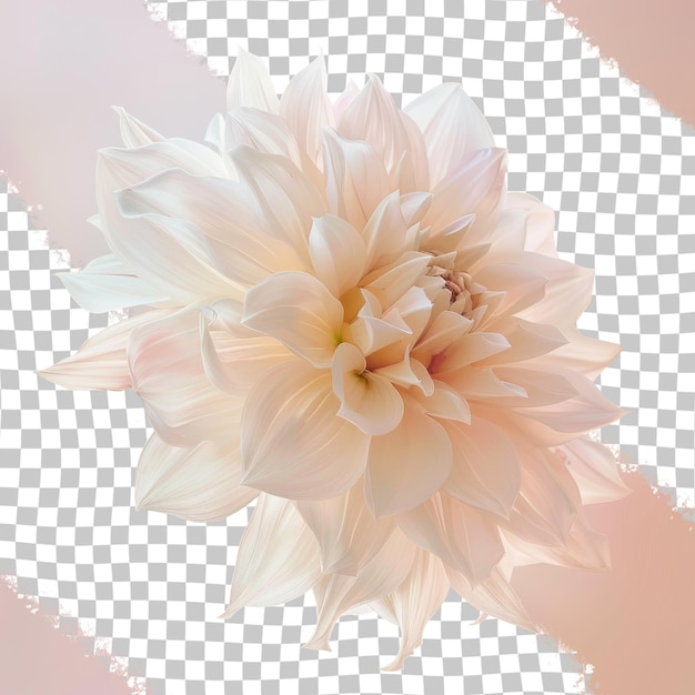 a white flower with the words  flowers  on a checkered background