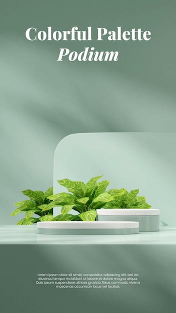 white and green podium in portrait chinese evergreen plant 3D render scene mockup