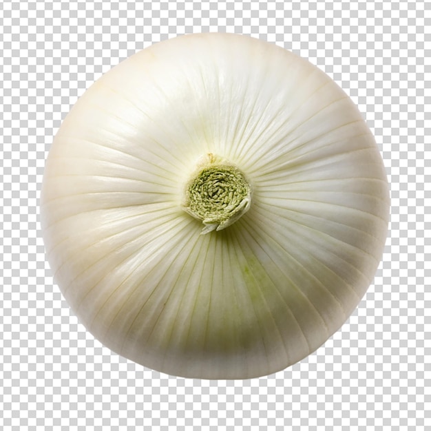 PSD white onion isolated on transparent background