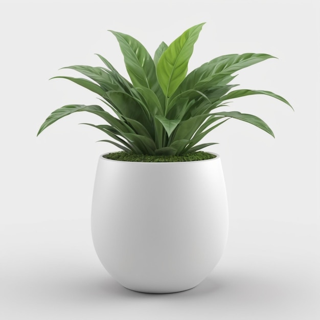 a white planter with green leaves in a white pot