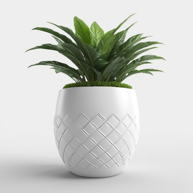 a white planter with a green plant in it is shown in a white vase