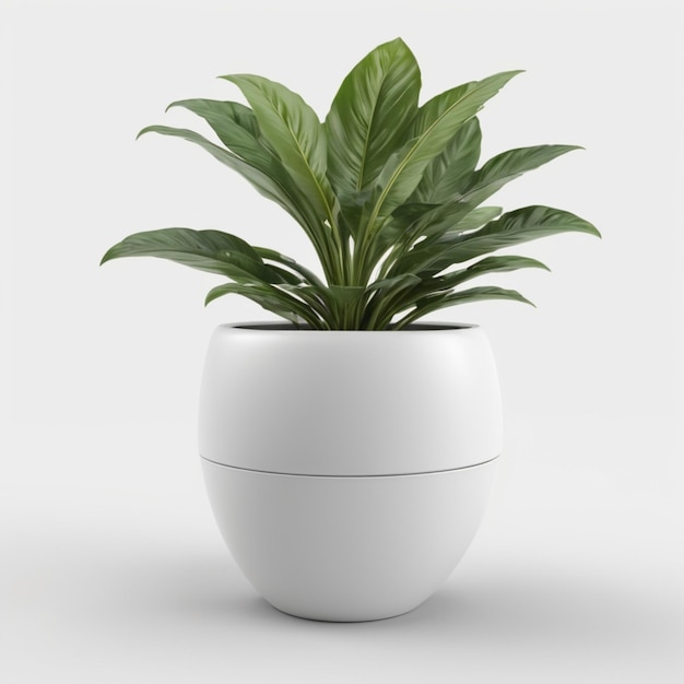 a white planter with a green plant in it