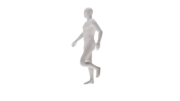 White plastic High resolution conceptual human 3D anatomy body 3d illustration isolated