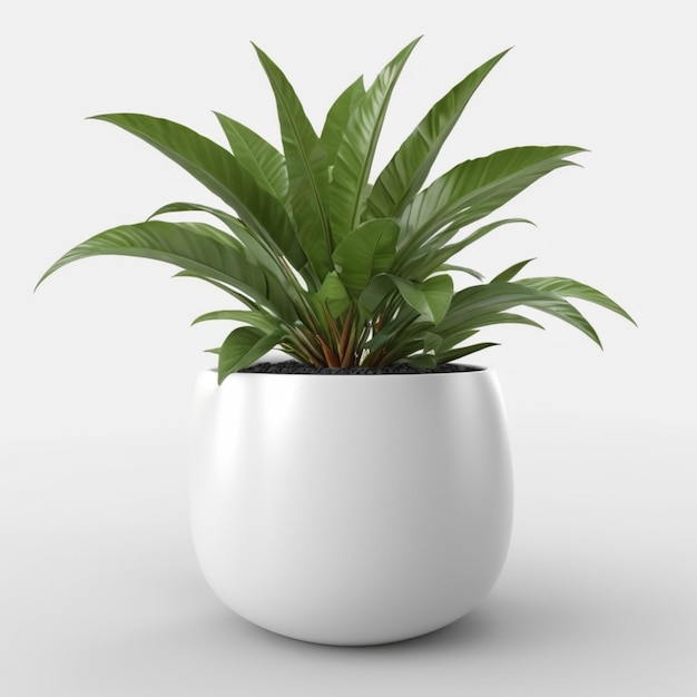 PSD a white pot with a plant in it that is white