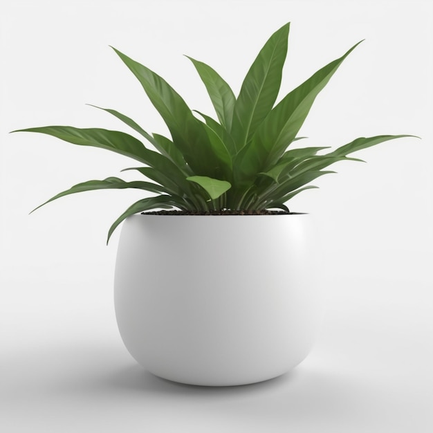 PSD a white pot with a plant in it that is white