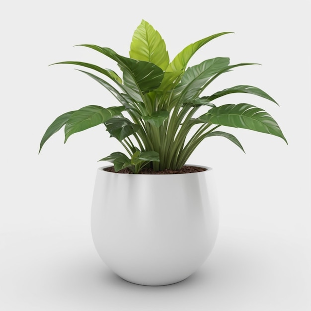 PSD a white pot with a plant in it that is white