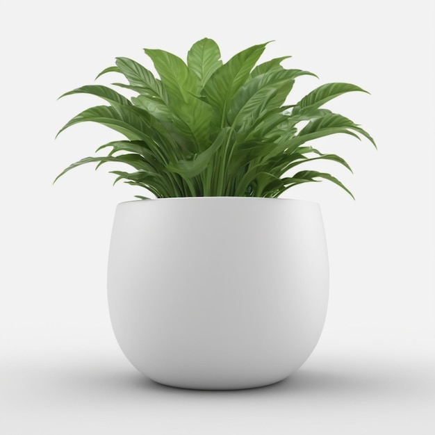 a white pot with a plant in it that is white