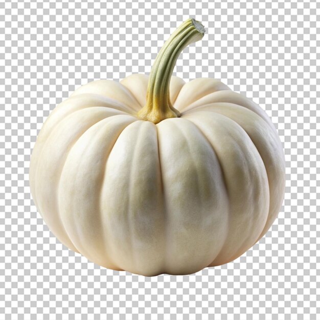 PSD white pumpkin