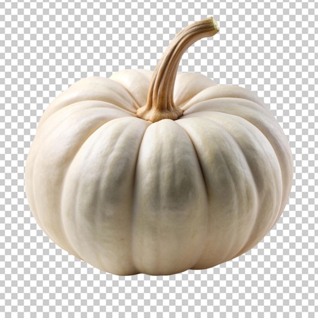 White pumpkin