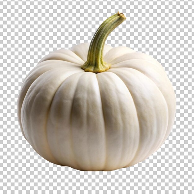 PSD white pumpkin