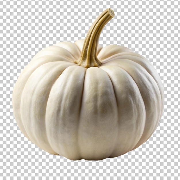 White pumpkin