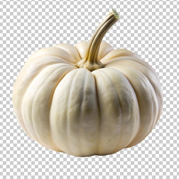 White pumpkin