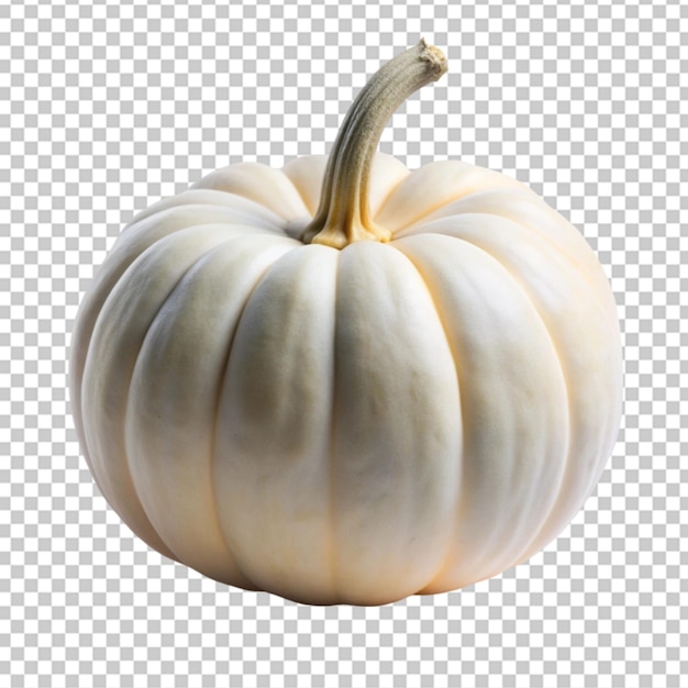 PSD white pumpkin