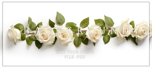 PSD white roses stem with green leaves on white background