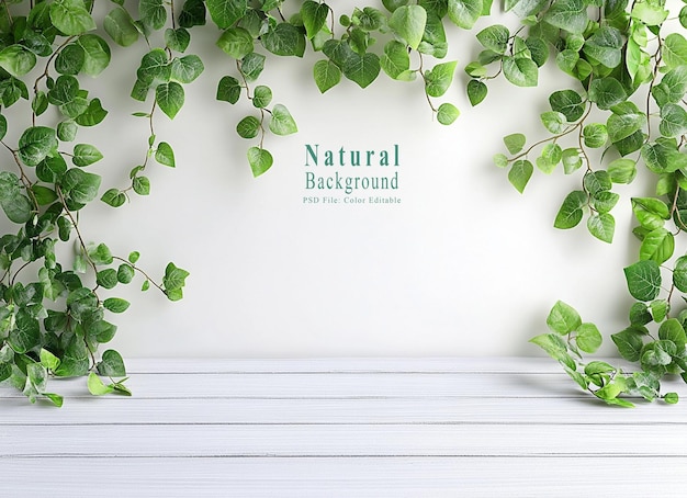 PSD white wooden table with green leaves on a white background blurred banner template for product