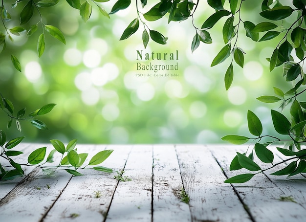 PSD white wooden table with green leaves on a white background blurred banner template for product