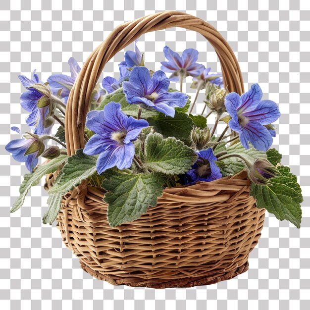 Wicker Basket with Borage Flowers