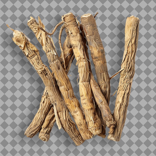 Wild Ginseng Type of Herb Panax Ginseng Form of Herb Dried R Isolated Object on Clean Background