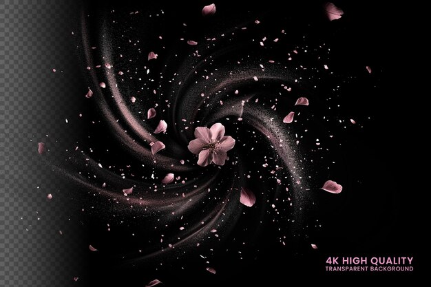 PSD wind swirls sakura petals with magic dust splash isolated on black background