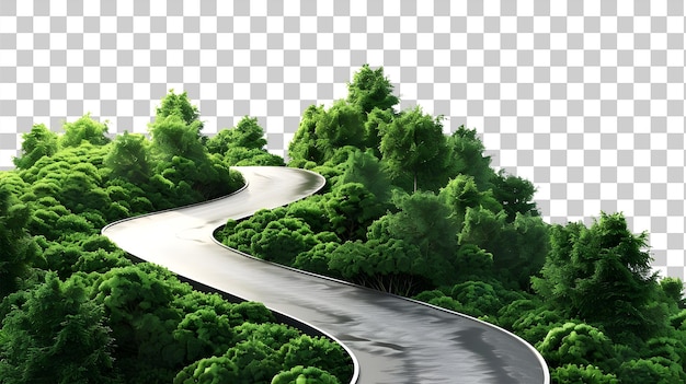 Winding road through lush green forest isolated on transparent background