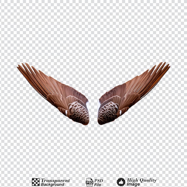 PSD wings of birds isolated on transparent background