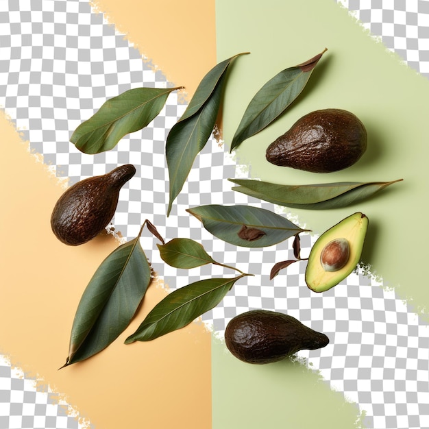 Withered avocado leaves in brownish green color