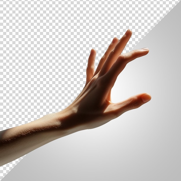 PSD woman hand png