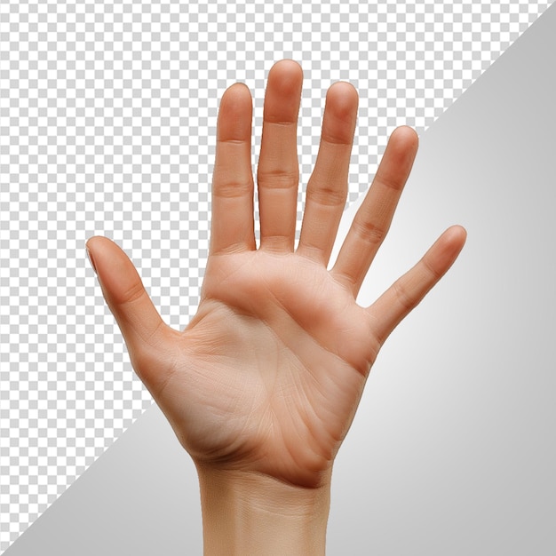 PSD woman hand png