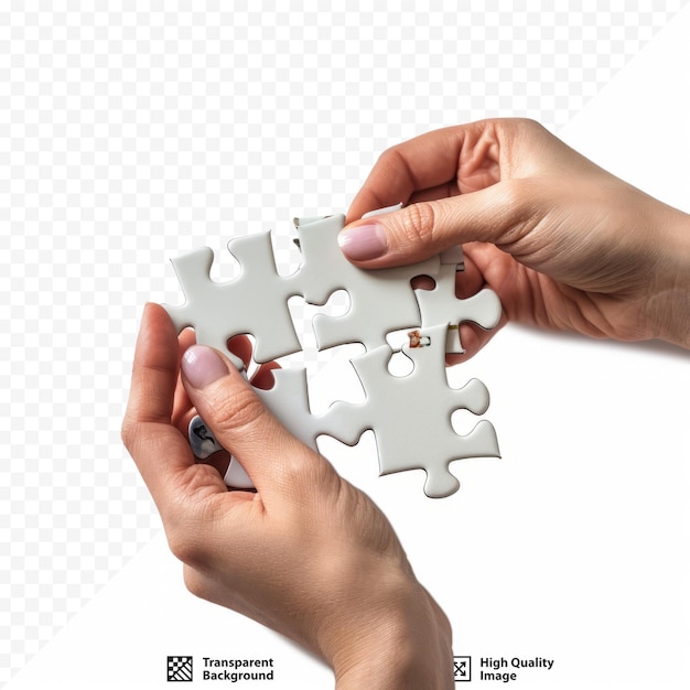 Woman hands are holding part of puzzle game National mock up on white isolated background Netherlands