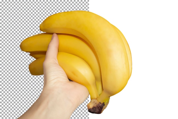 A woman holds a bunch of bananas in her hand on a transparent background The concept of cooking he