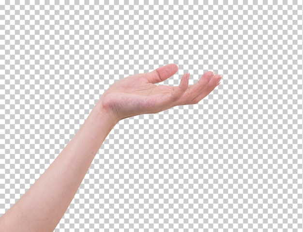 Women hand isolated