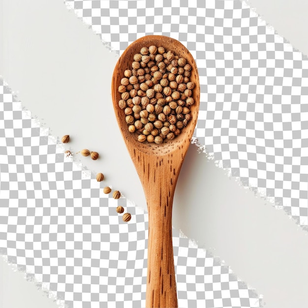 a wooden spoon with seeds and a spoon with a spoon on it