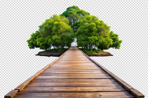 PSD wooden walkway leading to a small island with tree png