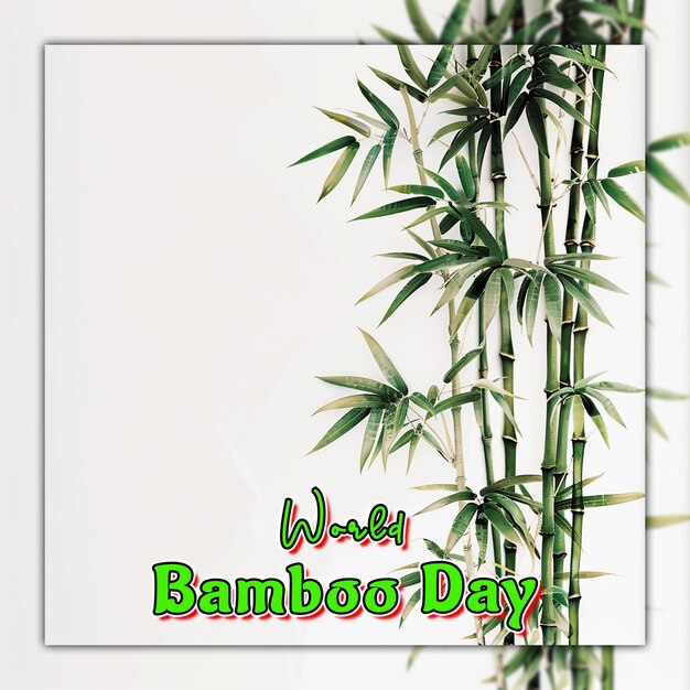 PSD world bamboo day nature bamboo branches with rain drops for social media post design