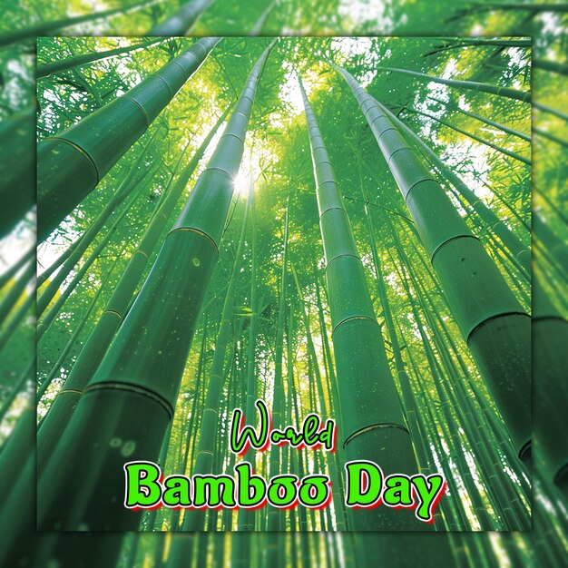 PSD world bamboo day nature bamboo branches with rain drops for social media post design