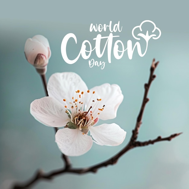 PSD world cotton day