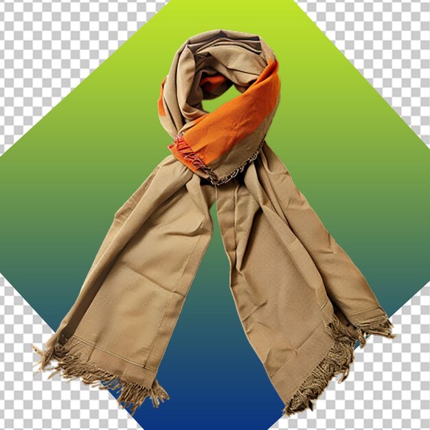 PSD world scout scarf day