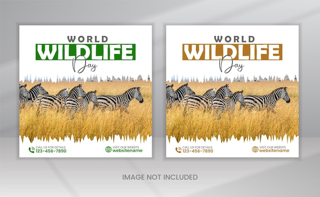 World wildlife day poster design