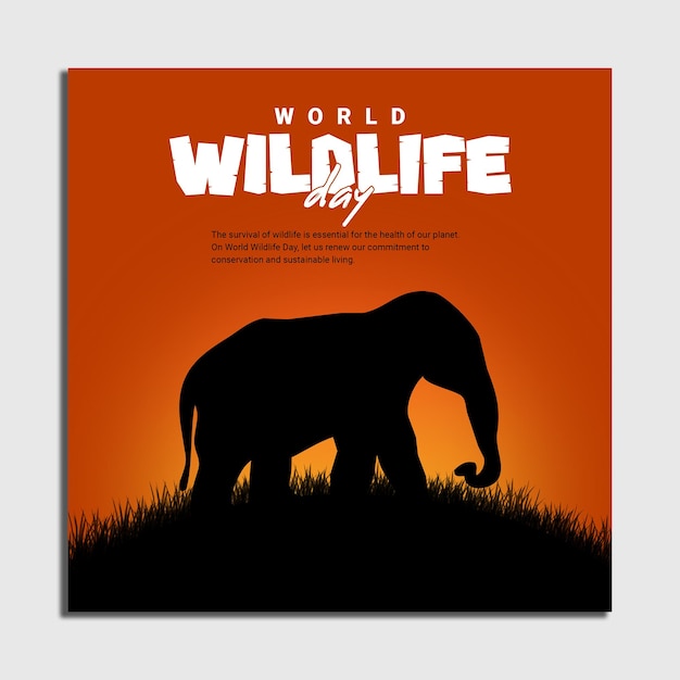 world wildlife day social media instagram post template for wildlife and environment