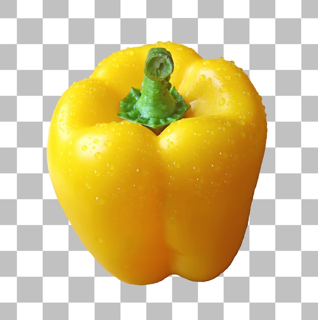 Yellow bell pepper with water droplets isolated on transparent backdrop