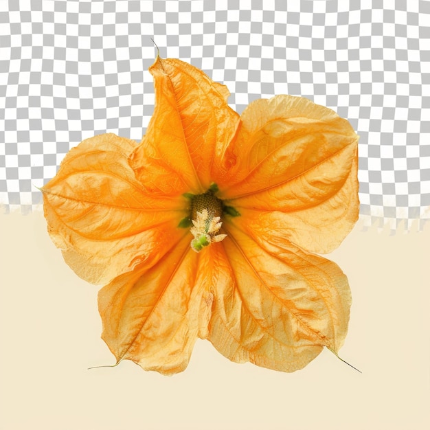 a yellow flower with the word  b  on it