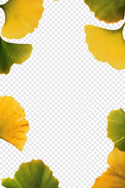 PSD yellow flowers on a transparent background