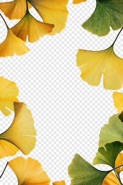 yellow flowers on a transparent background